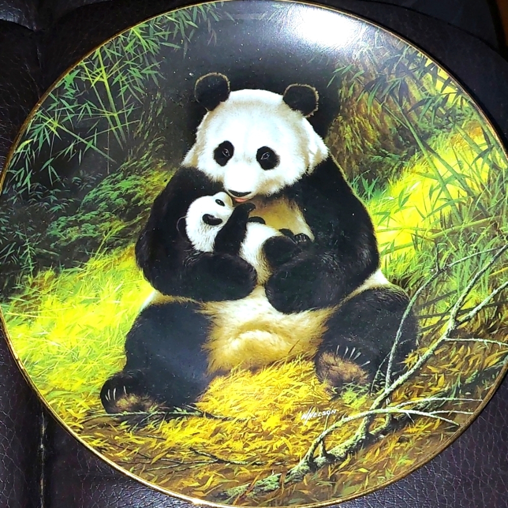 Vintage Collector Plate